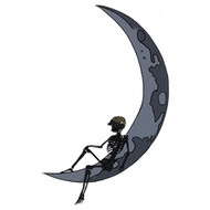 Low Light Innovations